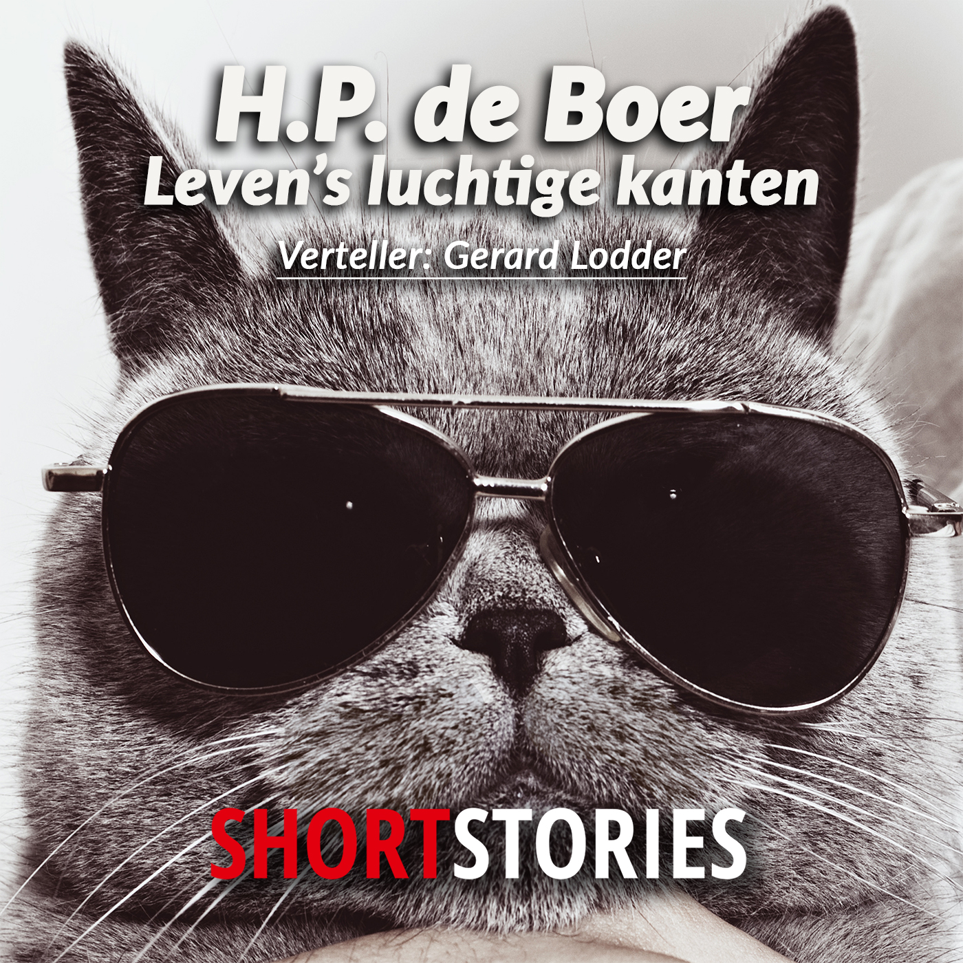 Omslag van Leven's luchtige kanten