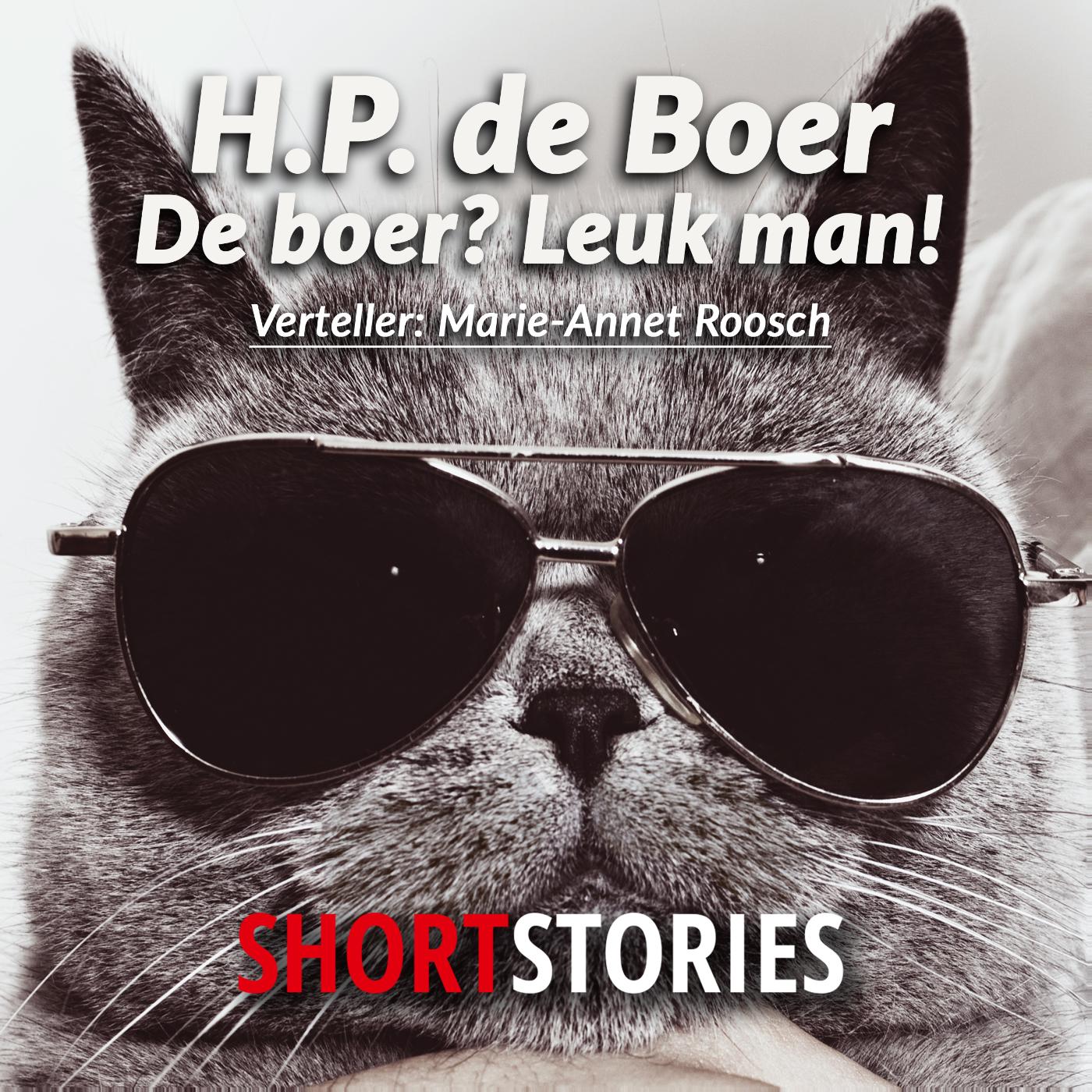 Omslag van De Boer? Leuk man!