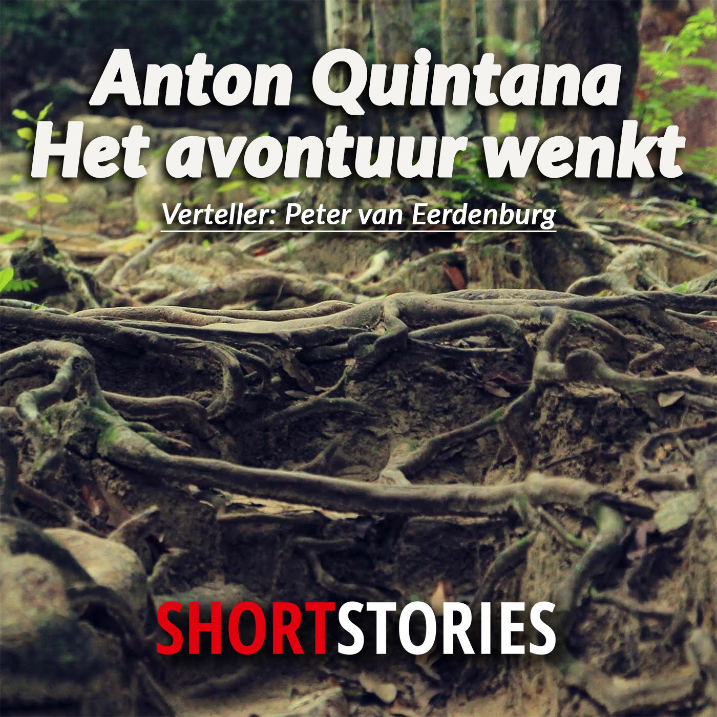 Omslag van Het avontuur wenkt