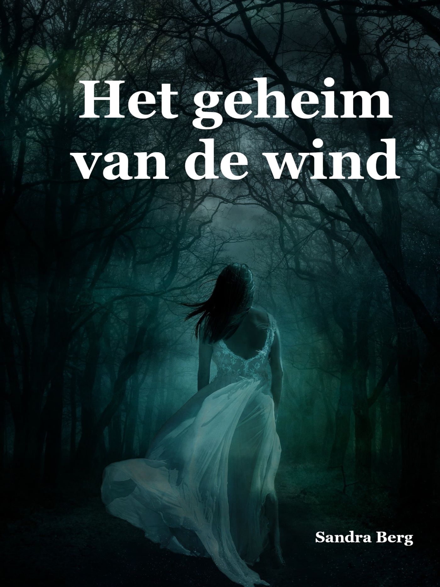 Omslag van Het geheim van de wind