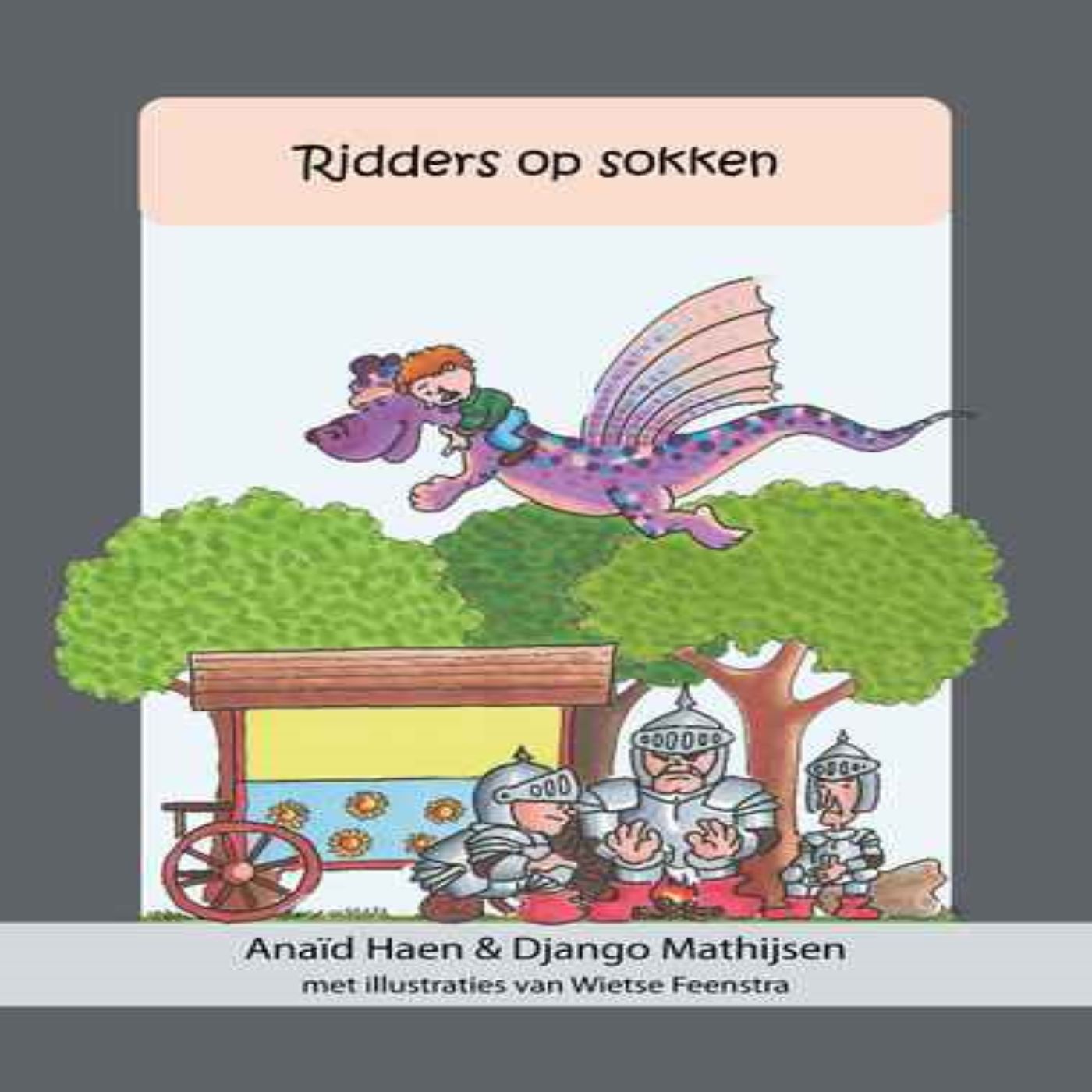 Omslag van Ridders op sokken