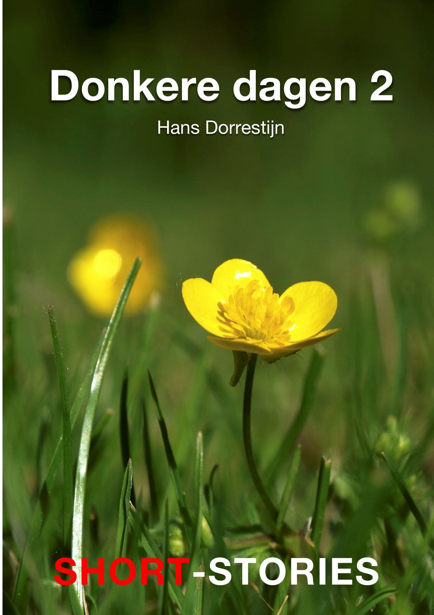 Omslag van Donkere dagen -2
