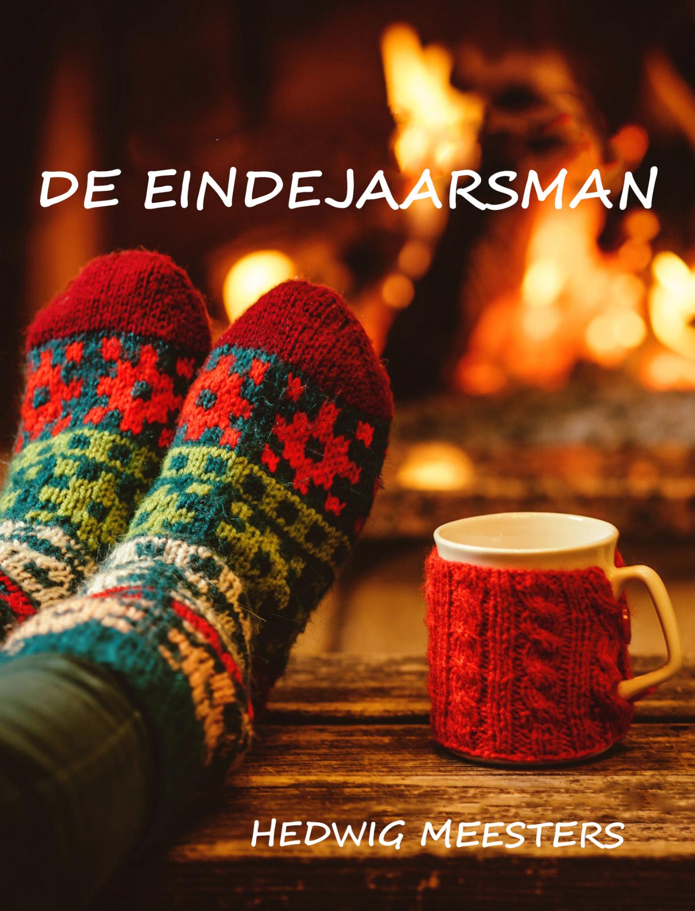 Omslag van De eindejaarsman