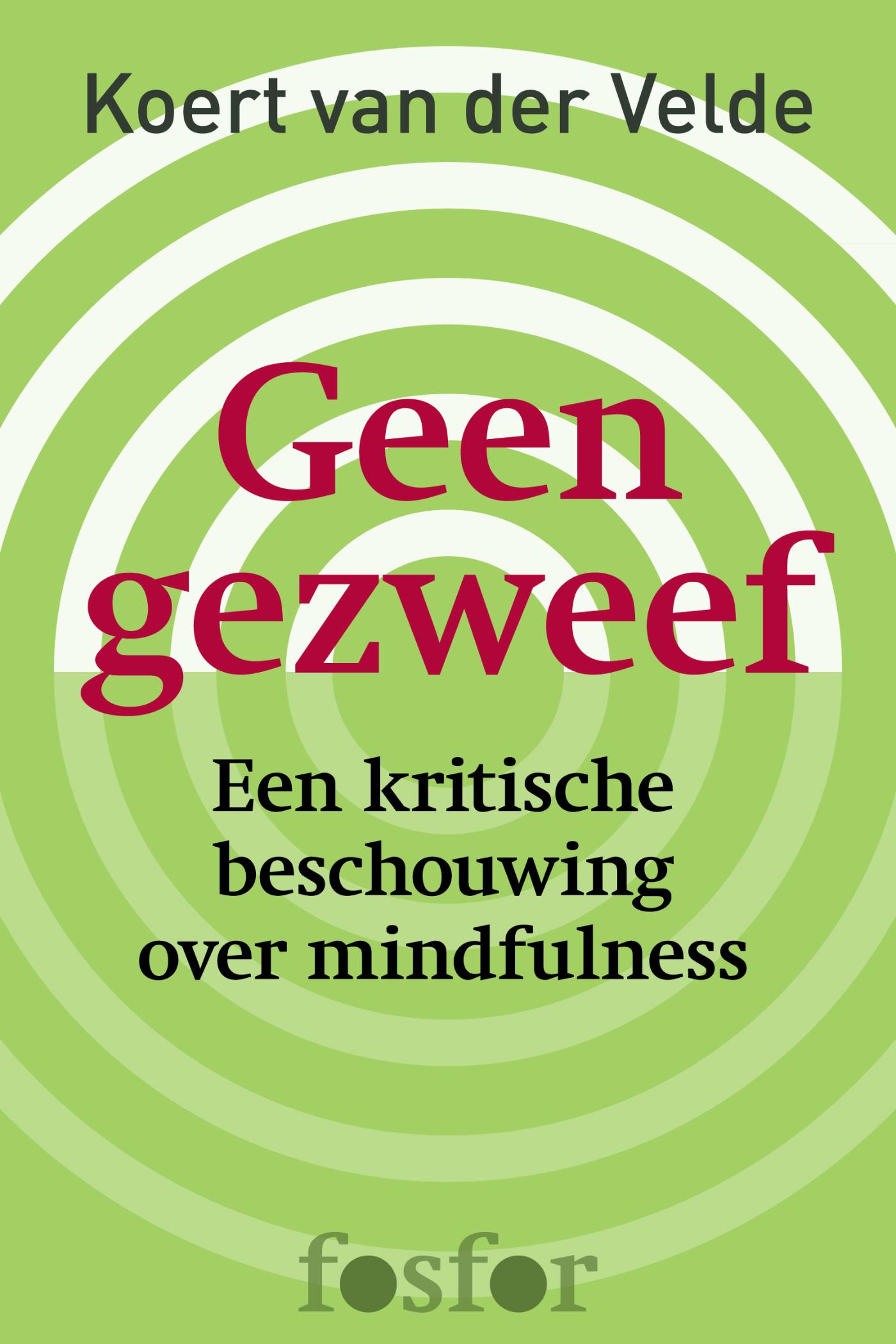 Omslag van Geen gezweef