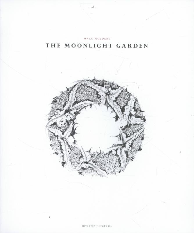 Omslag van The moonlight garden