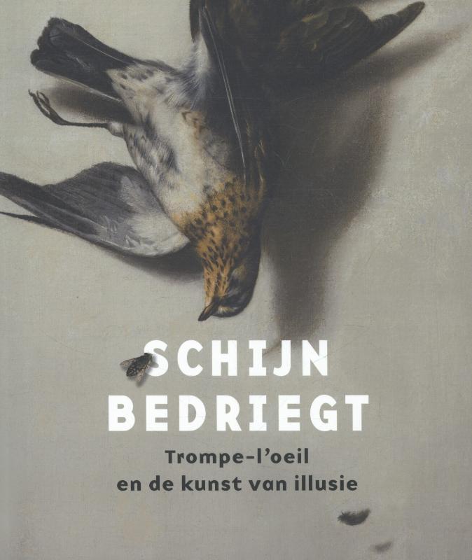 Omslag van Schijn bedriegt