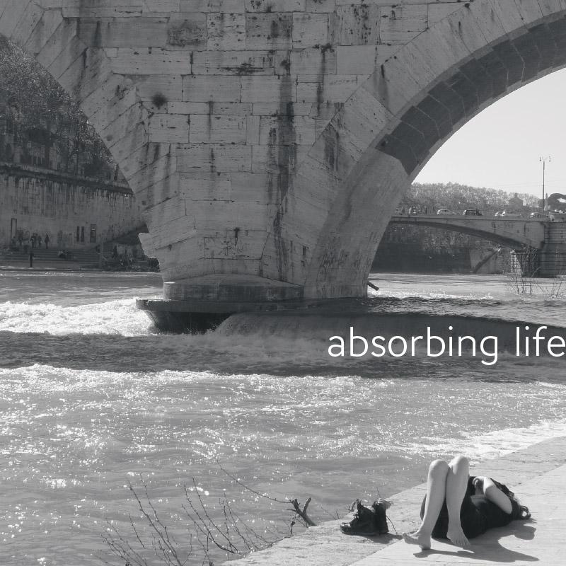 Omslag van Absorbing life