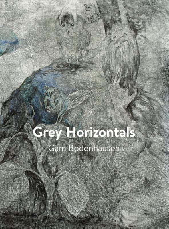 Omslag van Grey Horizontals