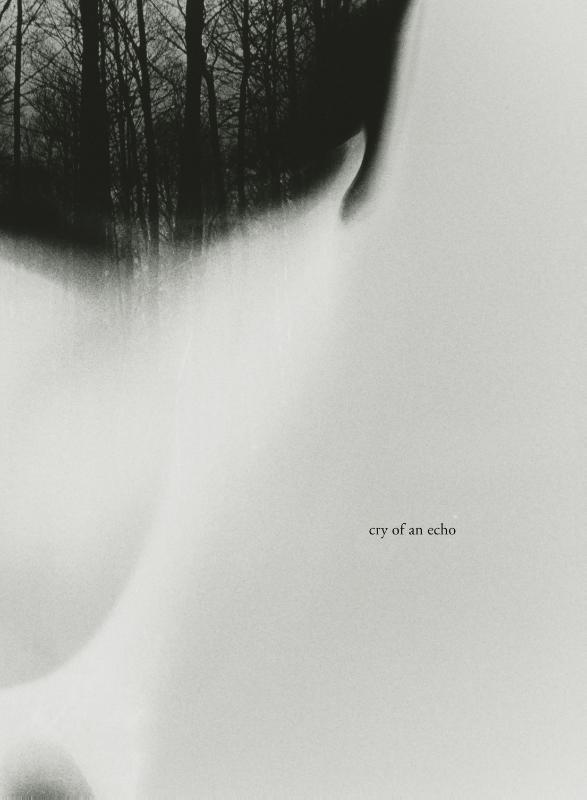 Omslag van Cry of an Echo