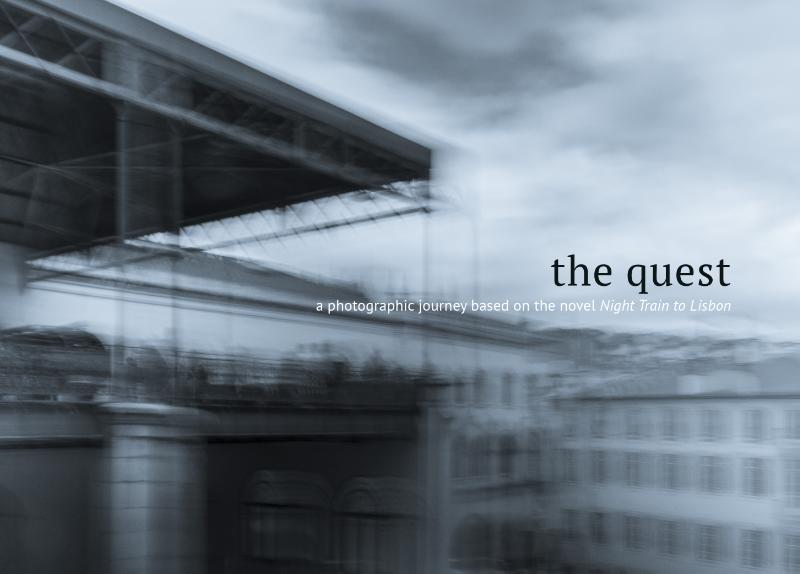 Omslag van The quest