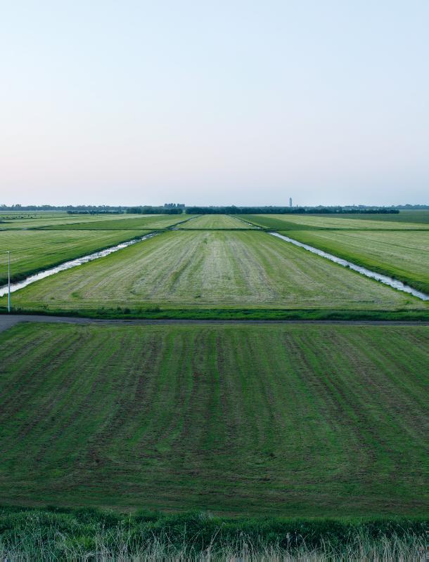 Omslag van New Dutch Views