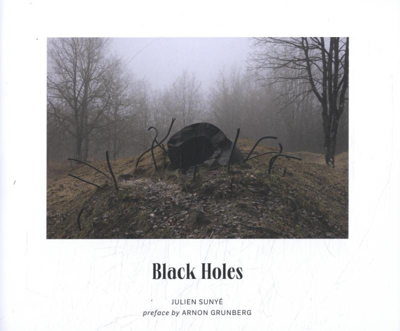 Omslag van Black Holes