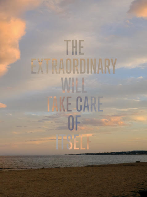 Omslag van The extraordinary will take care of itself