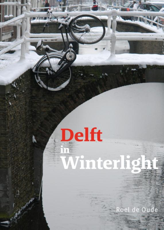 Omslag van Delft in Winterlight