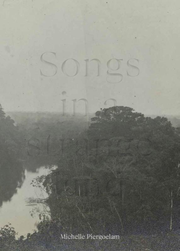 Omslag van Songs in a strange land