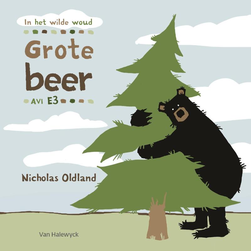Omslag van Grote beer