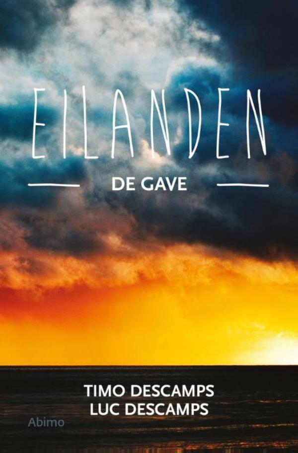 Omslag van De gave