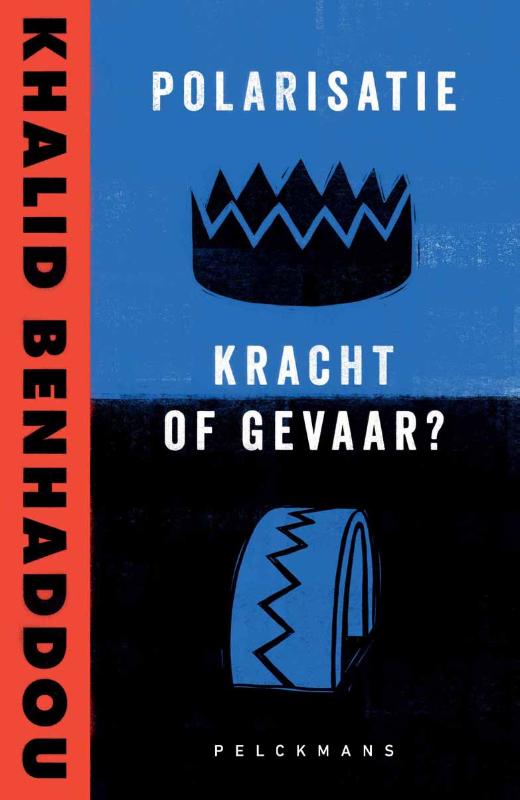 Omslag van Polarisatie: kracht of gevaar?