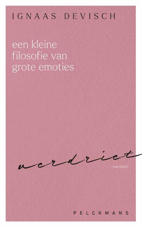 Omslag van Een kleine filosofie van grote emoties: Verdriet