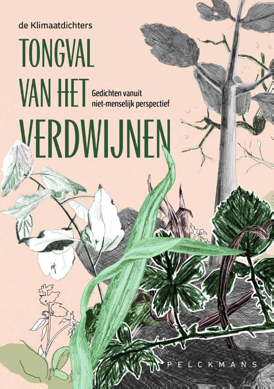 Omslag van Tongval van het verdwijnen