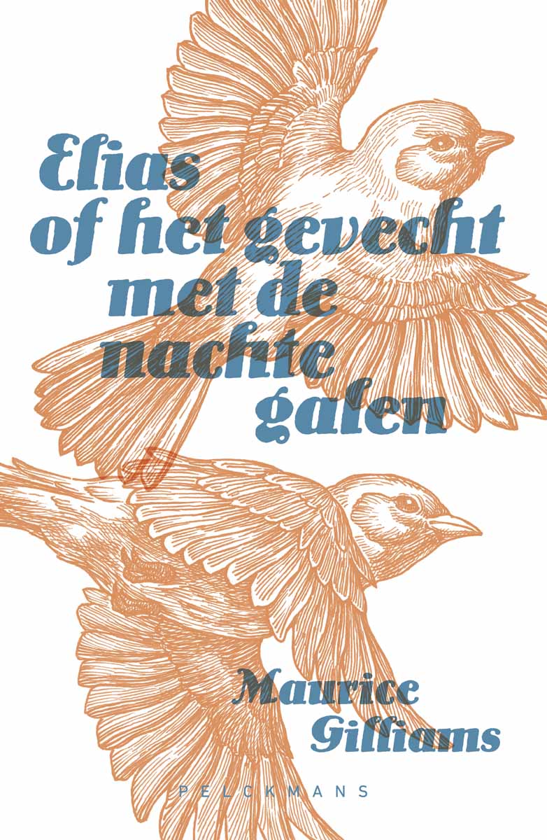 Omslag van Elias of het gevecht met de nachtegalen