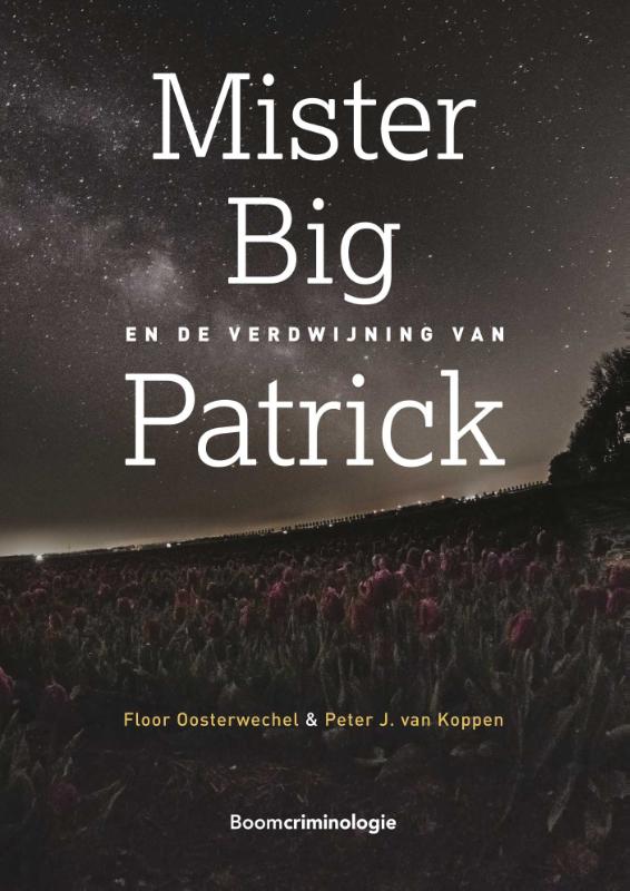 Omslag van Mister Big en de verdwijning van Patrick