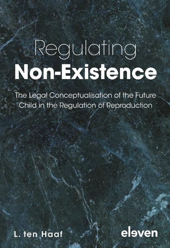 Omslag van Regulating Non-Existence