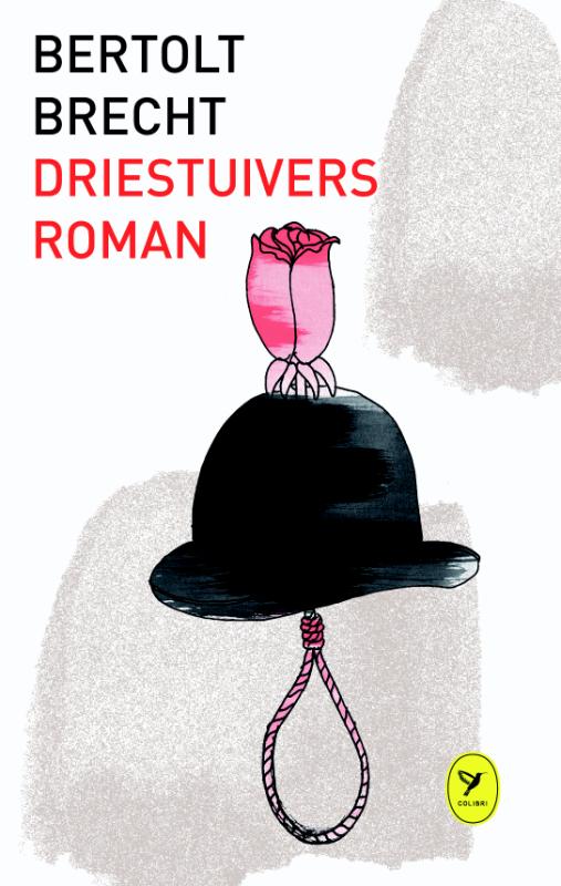 Omslag van Driestuiversroman