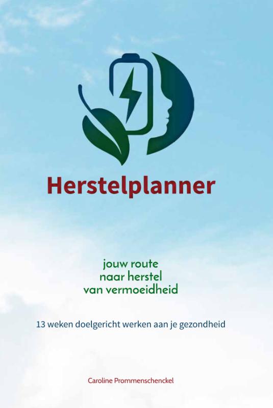 Omslag van Herstelplanner