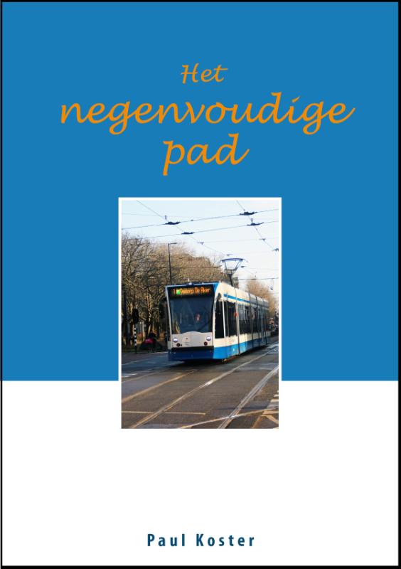 Omslag van Het negenvoudige pad