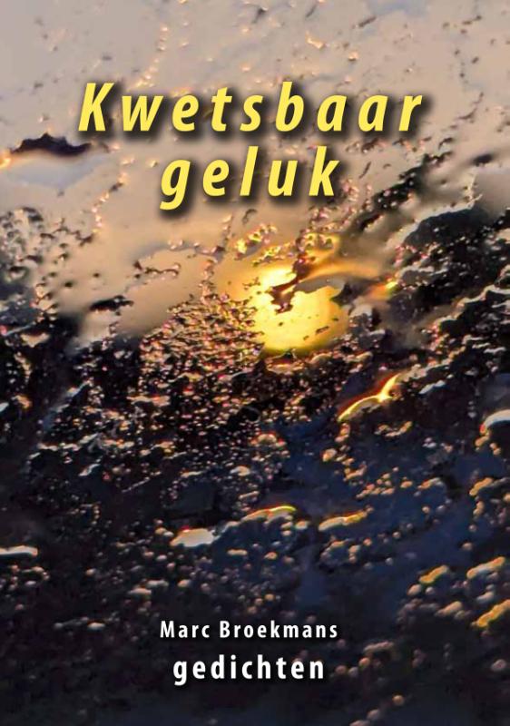 Omslag van Kwetsbaar geluk