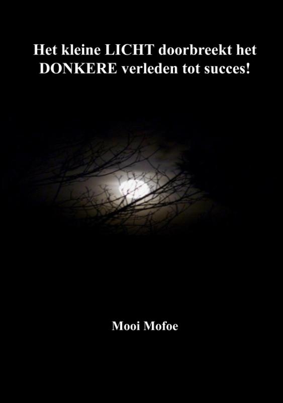 Omslag van Het kleine LICHT doorbreekt het DONKERE verleden tot succes!