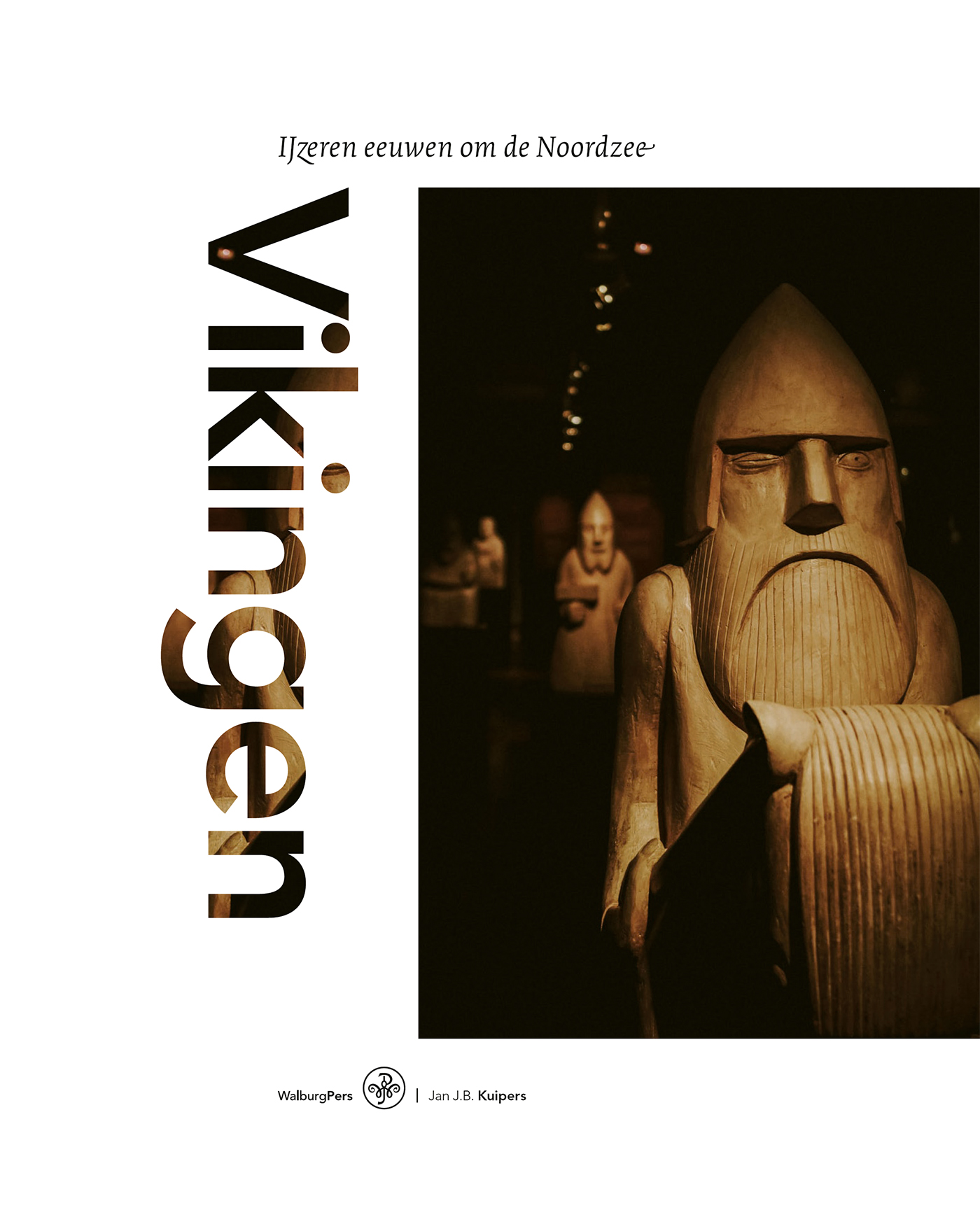 Omslag van Vikingen
