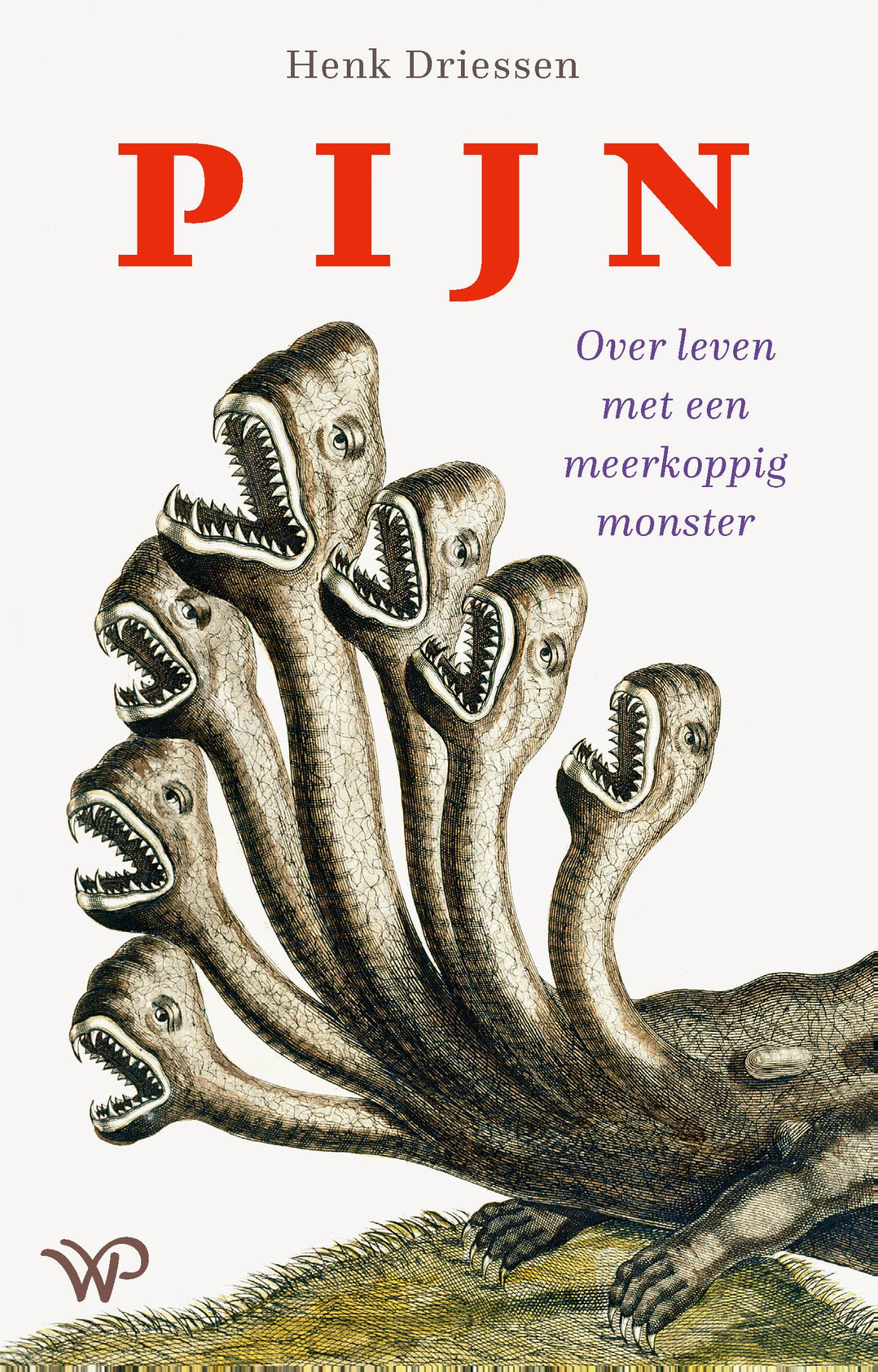 Omslag van Pijn
