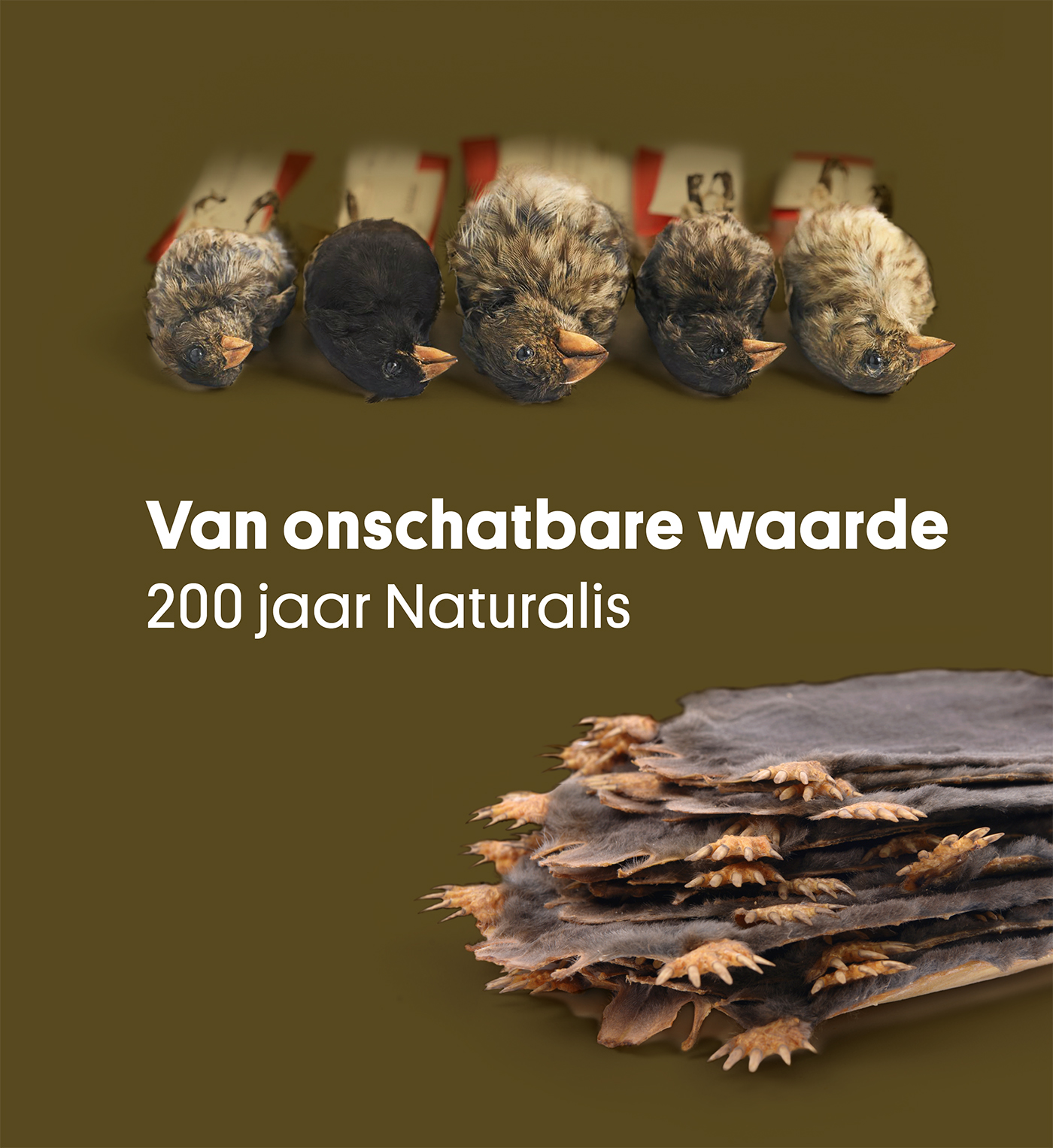 Omslag van Van onschatbare waarde