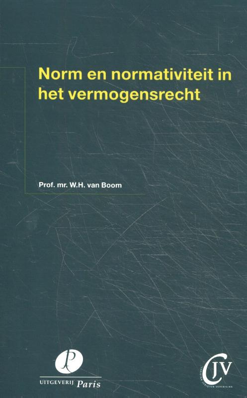 Omslag van Norm en normativiteit in het vermogensrecht