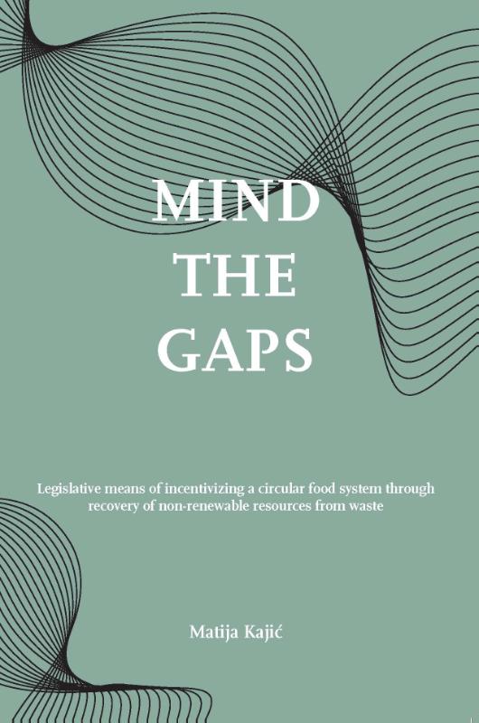 Omslag van Mind the gaps!