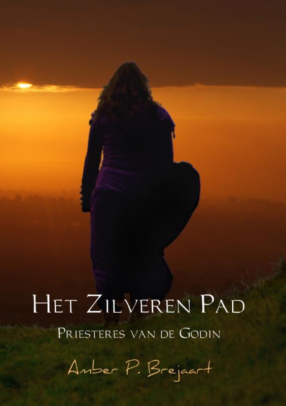 Omslag van Het zilveren pad