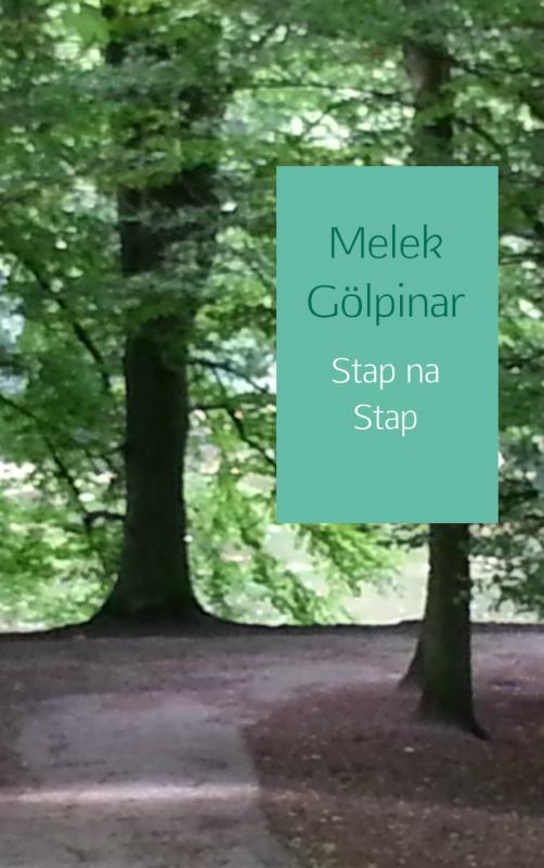 Omslag van Stap na stap