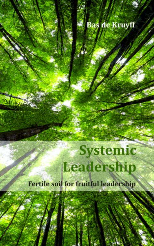 Omslag van Systemic leadership