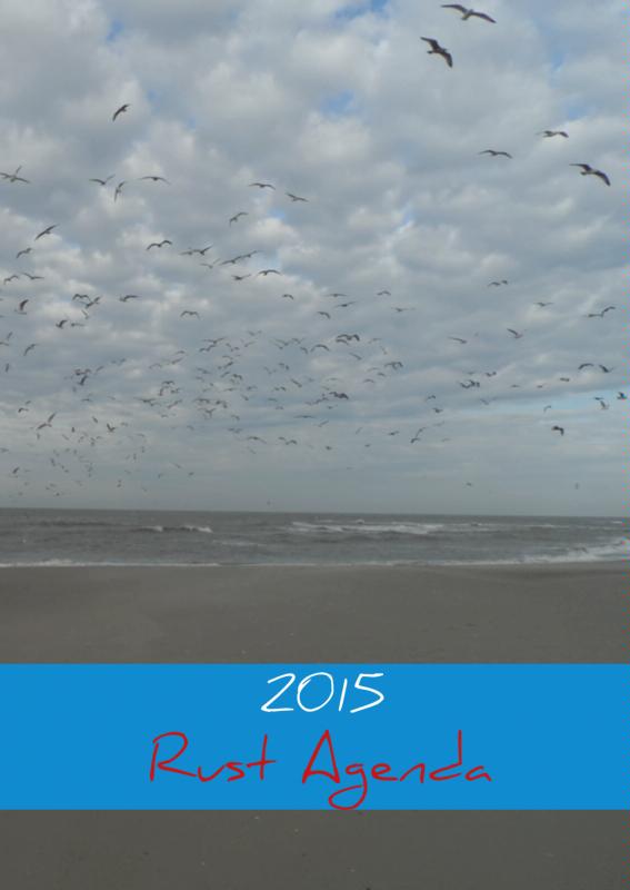 Omslag van 2015
