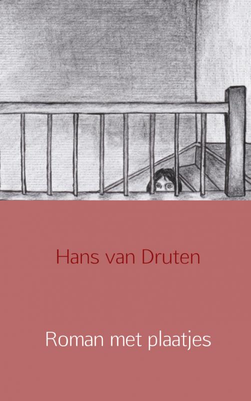 Omslag van Roman met plaatjes