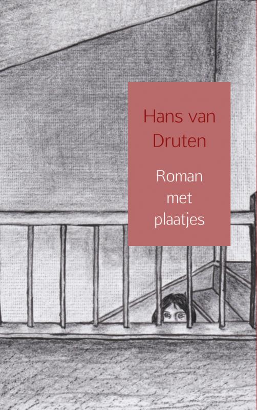 Omslag van Roman met plaatjes