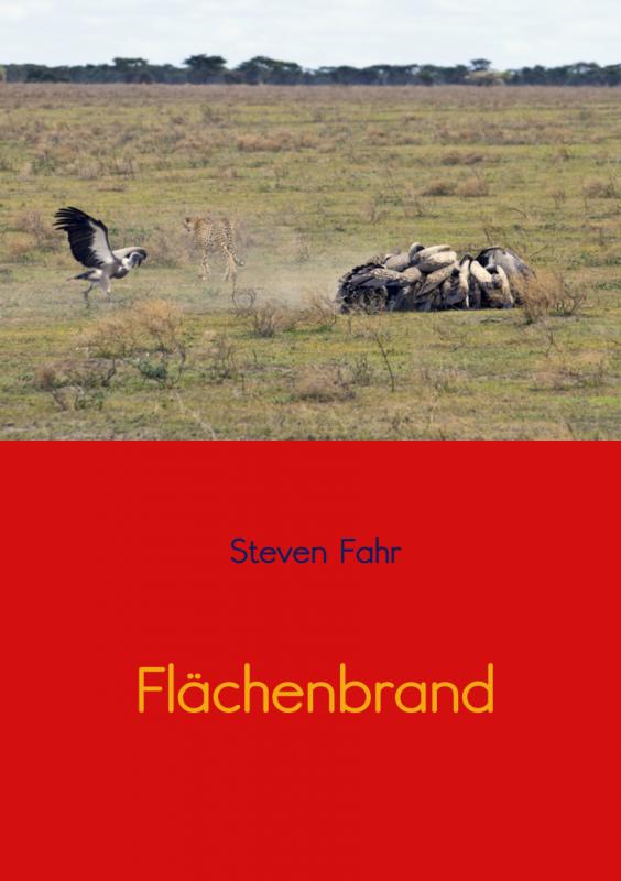 Omslag van Flächenbrand