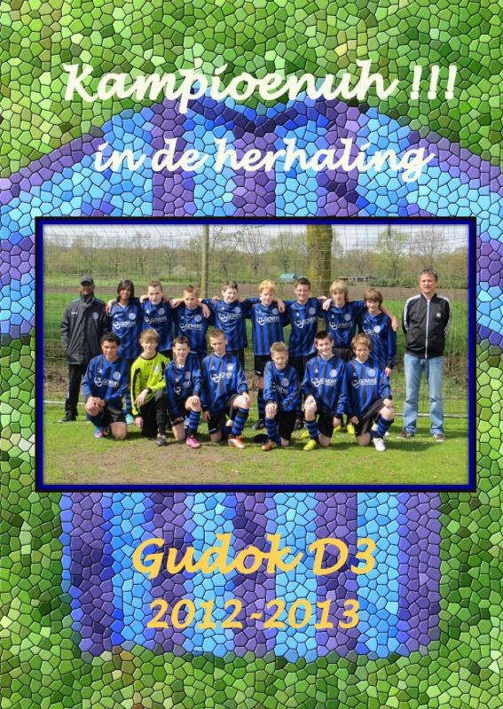Omslag van Gudok D3 2012-2013 Kampioenuh!!! in de herhaling