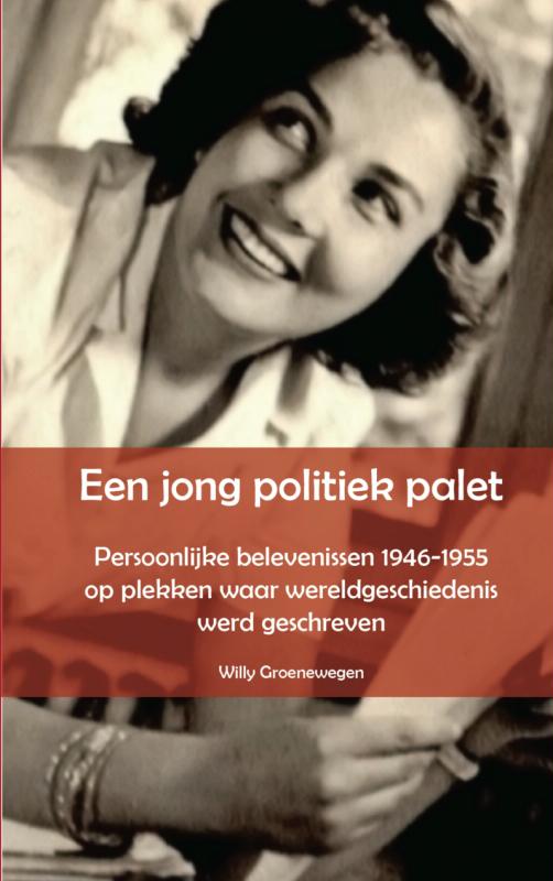 Omslag van Een jong politiek palet