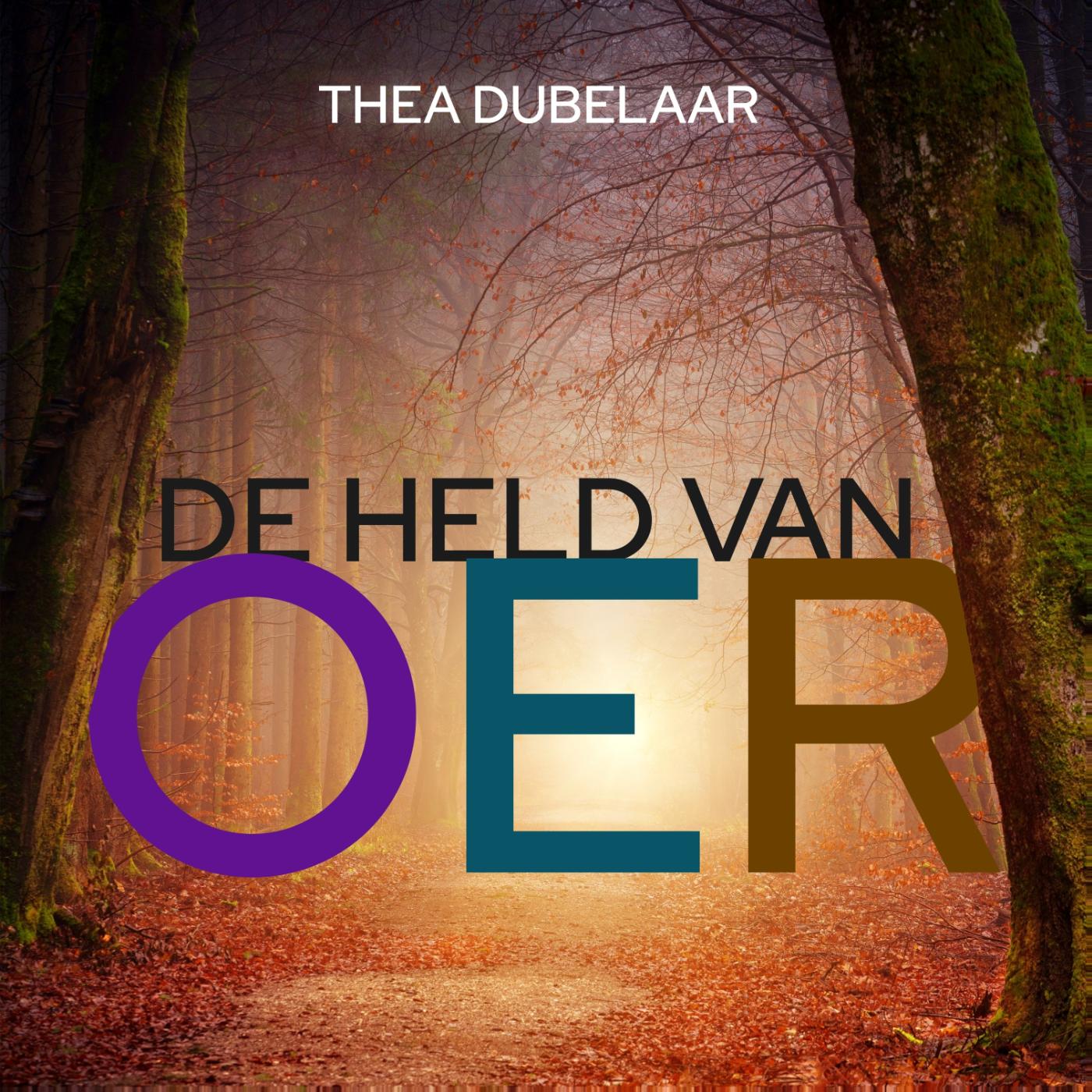 Omslag van De held van Oer