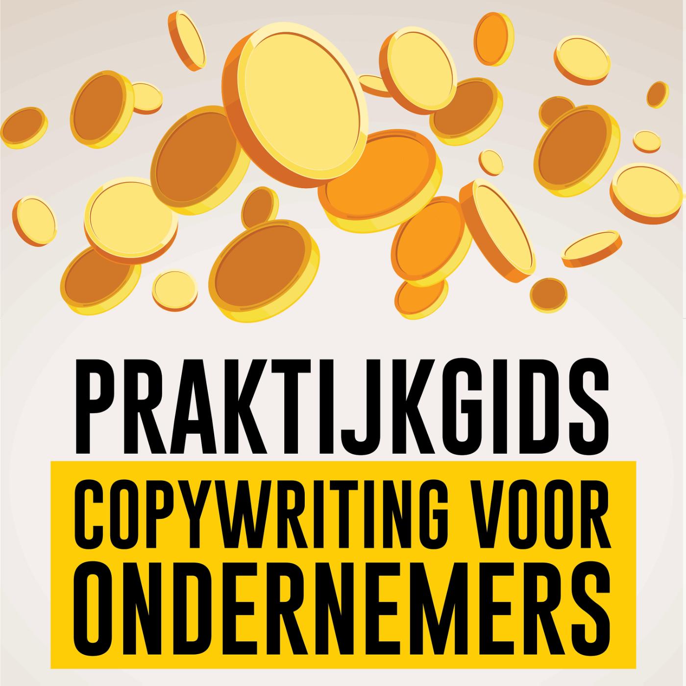 Omslag van Praktijkgids copywriting voor ondernemers