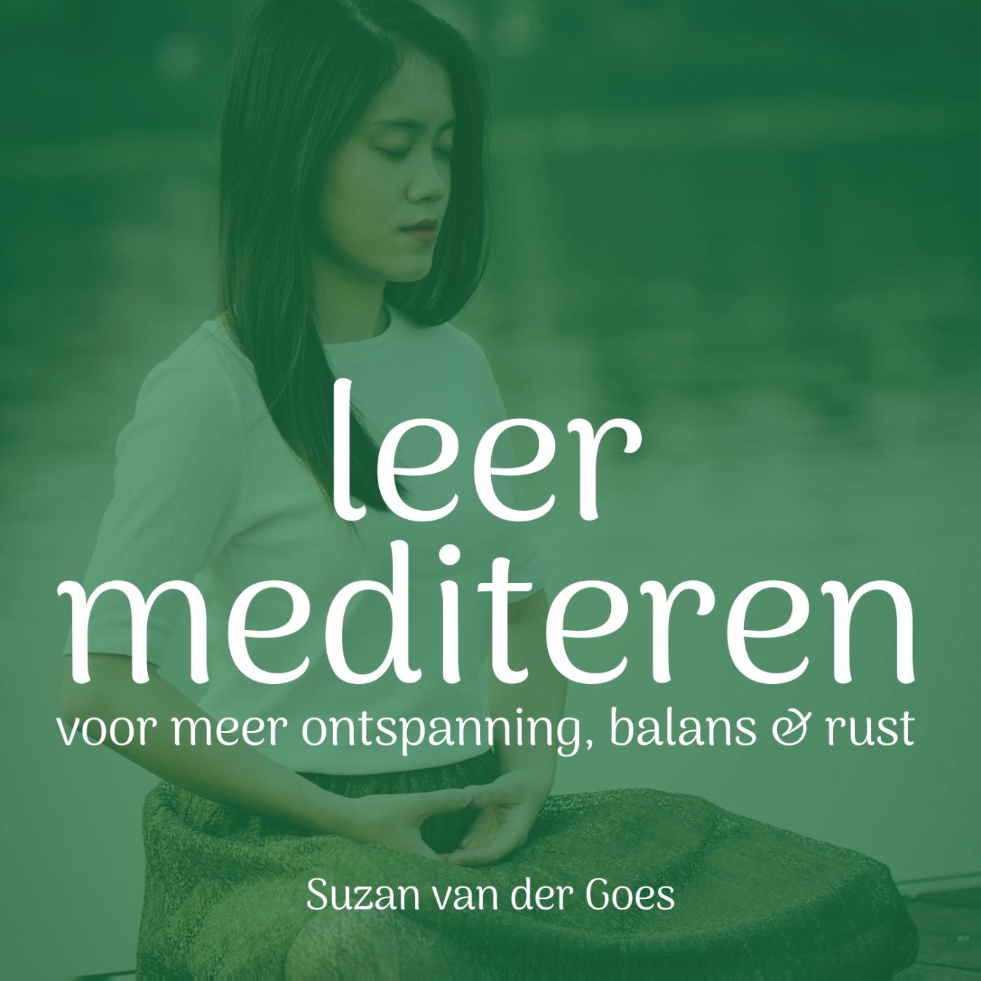 Omslag van Leer Mediteren