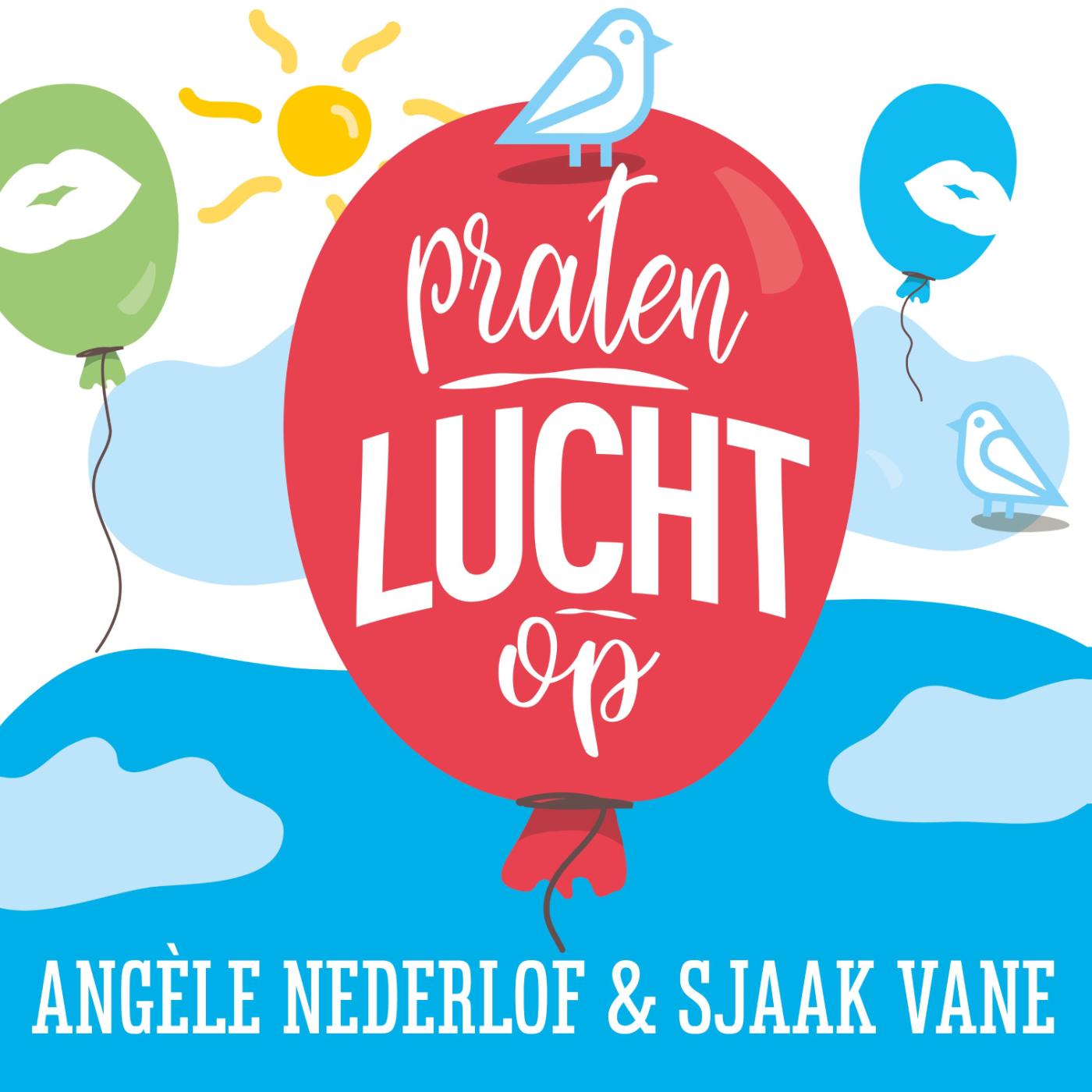 Omslag van Praten lucht op